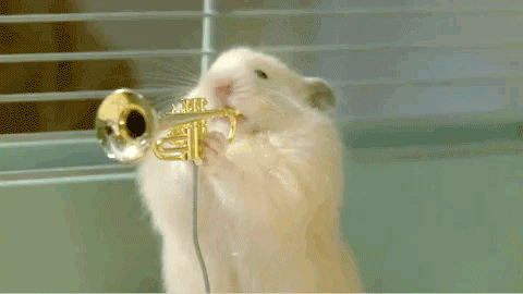 Gif9